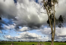 多多28：[图]拜仁1-3遭逆转 先赛领先1分末轮决战定冠军.