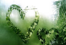 多多28：[NBA]骑士胜灰熊取得十六连胜.