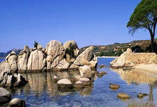 多多28：尼科-威廉斯：佩德里仿佛后脑勺长了眼睛.